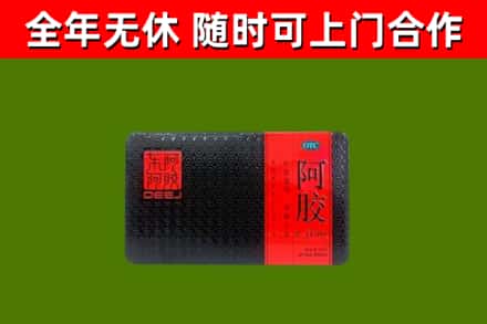 濠江区回收阿胶